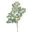 Kunstpflanze Eukalyptuszweig, 3er Set, Farbe grau, Höhe ca. 73 cm