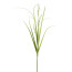 Künstlicher Gras-/Salvienzweig, 7er Set, Farbe grün, Höhe ca. 65 cm
