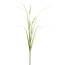 Künstlicher Gras-/Salvienzweig, 6er Set, Farbe grün, Höhe ca. 80 cm