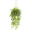 Kunstpflanze Birkenblattranke, Farbe grün, im Hänge-Topf, Höhe ca. 53 cm