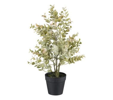 Kunstpflanze Buchsbaum, 2er Set, Farbe grau, inkl. Topf,...
