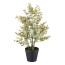 Kunstpflanze Buchsbaum, 2er Set, Farbe grau, inkl. Topf, Höhe ca. 35 cm