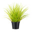 Kunstpflanze Gras, 3er Set, Farbe grün, inkl. Topf, Höhe ca. 24 cm