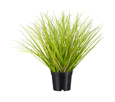 Kunstpflanze Gras, 2er Set, Farbe grün, inkl. Topf,...