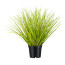 Kunstpflanze Gras, 2er Set, Farbe grün, inkl. Topf, Höhe ca. 32 cm
