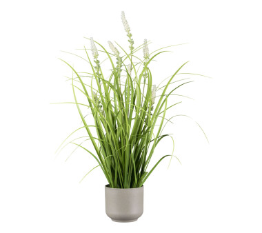 Kunstpflanze Gras mit Salvien, 2er Set, Farbe grün,...