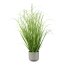 Kunstpflanze Gras mit Salvien, Farbe grün, im grauen Melamin-Topf, Höhe ca. 60 cm