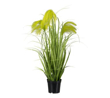 Kunstpflanze Reedgras, Farbe grün, inkl. Topf,...