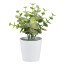 Kunstpflanze Eukalyptus, 7er Set, Farbe grün, inkl. Topf, Höhe ca. 15 cm