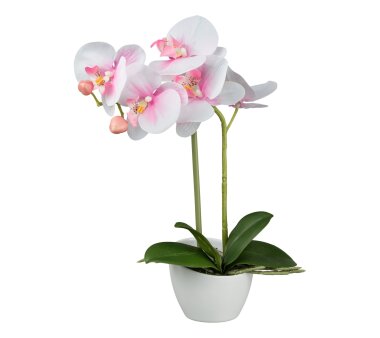 Kunstpflanze Phalaenopsis (Orchidee), 2er Set, Farbe...