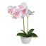 Kunstpflanze Phalaenopsis (Orchidee), 2er Set, Farbe rosa, inkl. Melamin-Topf, Höhe ca. 33 cm