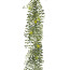 Künstliche Columneagirlande, Farbe grün,  Länge ca. 180 cm