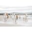 Fototapete KOMAR, WHITE HORSES, 8 Teile, BxH 368 x 254 cm