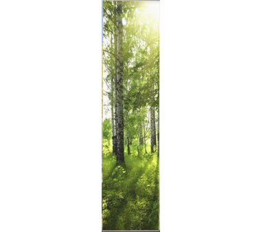 3er-Set Flächenvorhang, Deko blickdicht, GALWAY, Höhe 245 cm, 2x Dessin/1x uni transparent