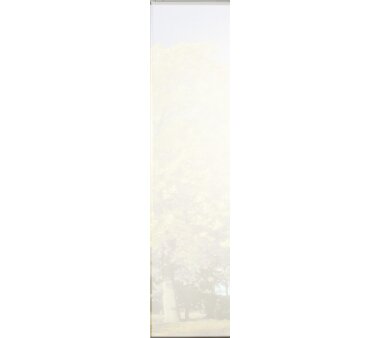 3er-Set Schiebevorhang, blickdicht, WUXI, 88150-703, Höhe 245 cm, grau