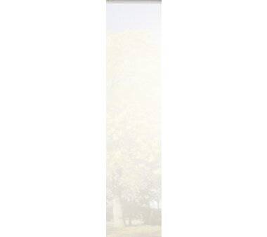 3er-Set Schiebegardine, blickdicht, WUXI, 88150-728, Höhe 245 cm, petrol