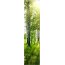 4er-Set Schiebevorhang, Deko blickdicht, GALWAY, Höhe 245 cm, 2x Dessin /2x uni transparent