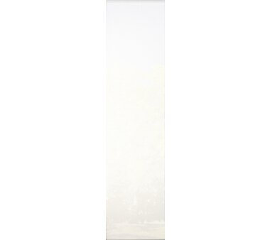 4er-Set Schiebevorhang, blickdicht, WUXI, 94150-703, Höhe 245 cm, grau