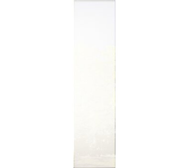 Schiebegardinen Set 4, blickdicht, WUXI, 94150-763, Höhe 245 cm, beere