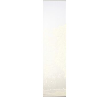 5er-Set Flächenvorhang, Deko blickdicht, GALWAY, Höhe 245 cm, 3x Dessin /2x uni transparent