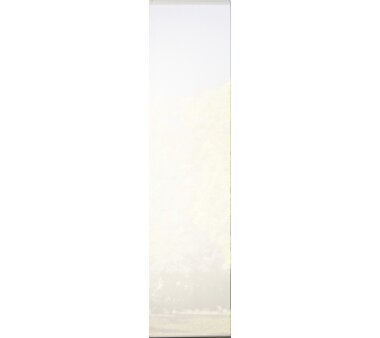 5er-Set Schiebevorhang, blickdicht, PADUA, 95353-701, Höhe 245 cm