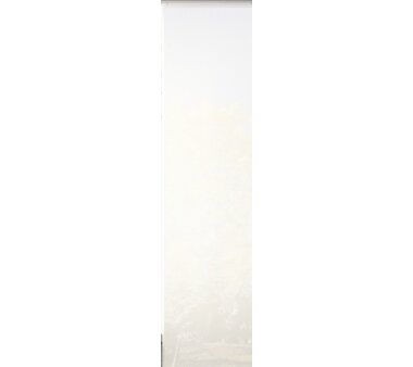 6er-Set Schiebevorhang, Deko blickdicht, WUXI, 96150-703, Höhe 245 cm, grau