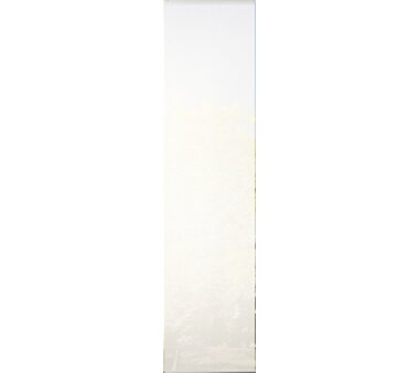 6er-Set Schiebegardine, blickdicht, WUXI, 96150-728, Höhe 245 cm, petrol