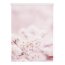 Lichtblick Rollo Klemmfix, ohne Bohren, blickdicht, Kirschblüten - Farbe rosa-weiß