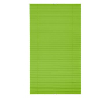 Lichtblick Plissee Klemmfix, ohne Bohren, verspannt - grün 65 cm x 130 cm (B x L)