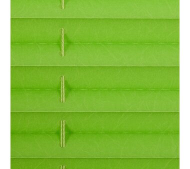 Lichtblick Plissee Klemmfix, ohne Bohren, verspannt - grün 65 cm x 130 cm (B x L)